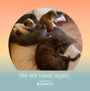 Meet your Posher, Celia